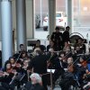 concertodescalzi25
